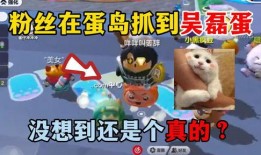 最新爆料蛋仔岛游戏视频,揭秘神秘岛屿冒险之旅