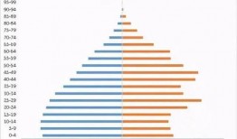 大国爆料资讯最新消息今天,最新资讯揭示重大事件幕后真相